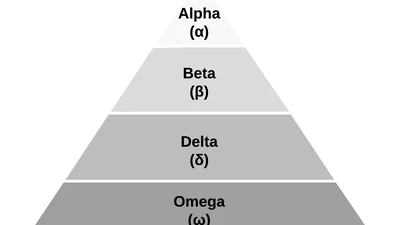 Grey Wolf Optimizer in a nutshell featured image