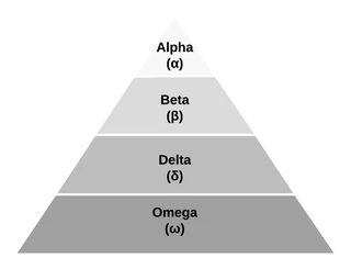 GWO social hierarchy