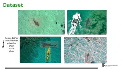 DroneShark Dataset: Um Conjunto de Imagens Aéreas para Detecção de Tubarões featured image